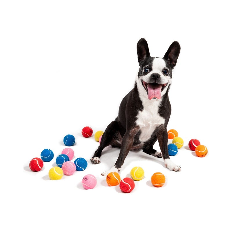 Midlee 1.5" Mini Dog Tennis Balls Bulk Set of 25 Assorted Colors - Image 1